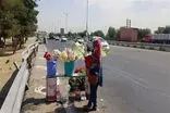 جمع‌آوری گل‌فروشان اطراف بهشت زهرا