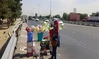 جمع‌آوری گل‌فروشان اطراف بهشت زهرا
