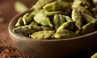 این ادویه معطر را در زمستان، از دست ندهید