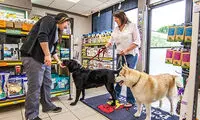 بهترین پت شاپ شرق تهران | معرفی ۱۰ پت شاپ برتر شرق تهران