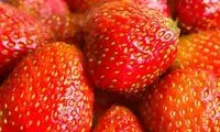 نکته جالب درباره دانه‌های ریز روی سطح توت فرنگی