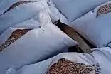 رفتار عجیب گمرک ترکیه با بار ایرانی‌ها در مرز