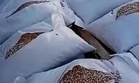 رفتار عجیب گمرک ترکیه با بار ایرانی‌ها در مرز