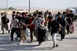موج بازگشت خودخواسته مهاجران افغان از ایران