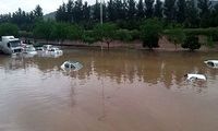 اقدام عجیب و ناشیانه یک دانشگاه در مشهد