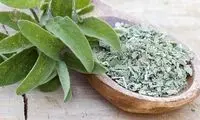 خواص درمانی گیاه مریم گلی