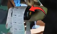 جمع‌آوری پول برای شروع زندگی یک زوج در تجمعات