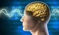 اثر مخرب و باورنکردنی فقر به روی مغز