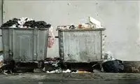 تصاویری که از سطل آشغال های تهران، سوژه شد