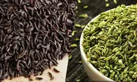 زیره را کِی و کجا استفاده کنیم تا عطر غذا را چند برابر کند؟