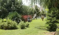 تبدیل تصورات عجیب به واقعیت در دهکده تهران 