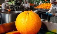 اولین واکنش رسمی به ماجرای پرتقال‌های سمی