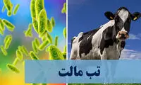 همه چیز درباره «بیماری هزار چهره»