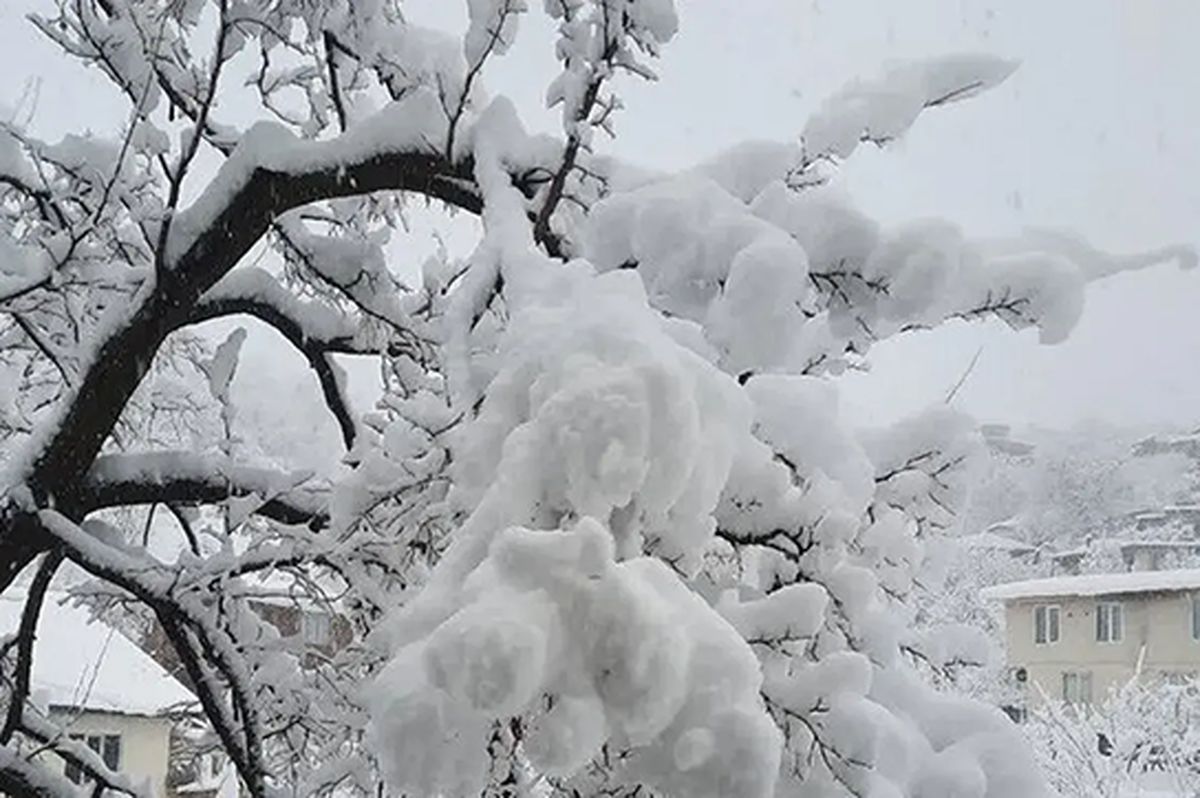 ارتفاع برف در این منطقه از نیم متر گذشت