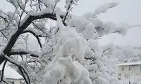 ارتفاع برف در این منطقه از نیم متر گذشت
