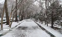 هشدار برای سرمای کم‌سابقه در ۲۶ استان کشور