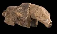 معمای این مجسمۀ ۳۵ هزار ساله؛ اسب، خرس یا شیر؟
