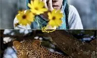 عصبانیت شدید کارگردان «خاتون» از حادثه قائمشهر