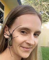 واکنش جالب این دختر به راه رفتن حشرات روی صورتش!