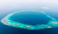 پدیده‌ ای بی نظیر در عربستان که جهان را حیرت‌ زده کرد