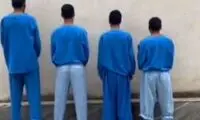 دالتون‌های گلستان در دام پلیس آگاهی افتادند