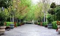 تصاویر خبرساز از تغییرات پارک لاله بعد از یک دهه