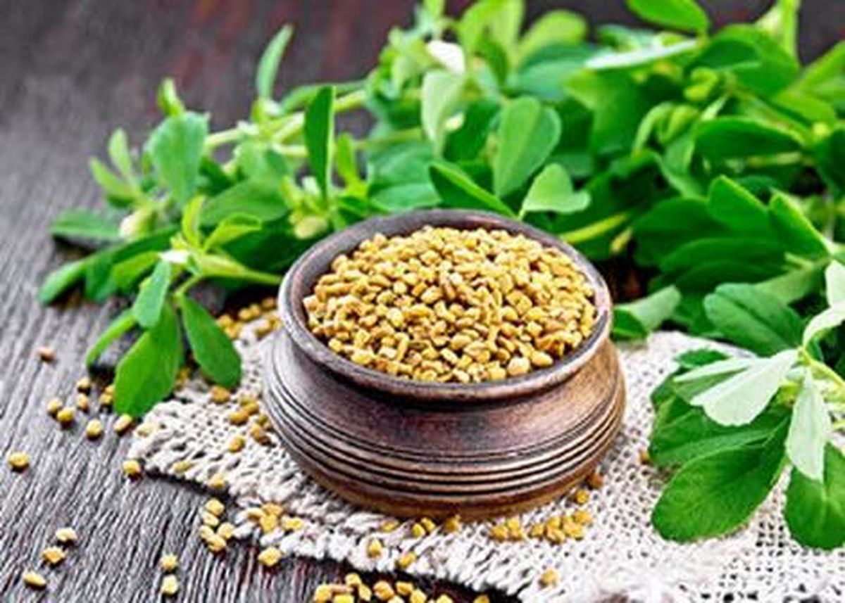 این ماده غذایی مانع از ابتلا به آلزایمر میشود