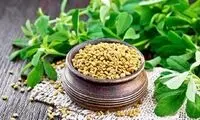 این ماده غذایی مانع از ابتلا به آلزایمر می‌شود
