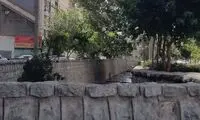 سر مجسمه معروف در سیدخندان را بریدند!