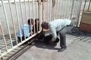 نحوه تحویل پیکر کودک در یک بیمارستان دولتی خبرساز شد