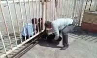 نحوه تحویل پیکر کودک در یک بیمارستان دولتی خبرساز شد