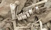 تصاویری از ترسناک‌ترین کشف سال ۲۰۲۲ را ببینید