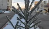 این منطقه در ایران امشب رسما سیبری شد!