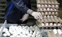 قیمت تخم‌مرغ نجومی شد 