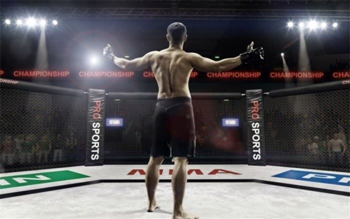 برگزاری مسابقات MMA برای اولین‌ بار در ایران