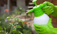 یک ترکیب ساده و موثر برای رفع سموم میوه و سبزیجات