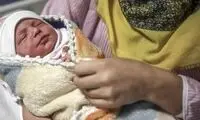 نوزاد عجول بر فراز آسمان به دنیا آمد