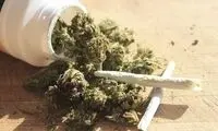 شبیخون «گُل» به ایران با یک آمار تکان‌دهنده!