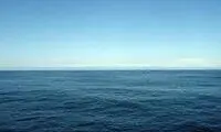 کشف اسرار اعماق اقیانوس با نصب دوربین بر کوسه
