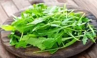 فواید عجیب گیاه بومی مصری‌ها برای سلامتی