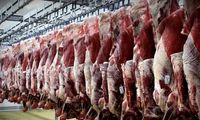 گوشت 600هزارتومانی جایگزین گوشت دولتی شد