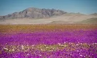گورستان زباله‌های جهان را ببینید