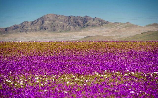 گورستان زباله‌های جهان را ببینید