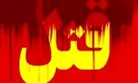 این زن صیغه‌ای در محمودآباد ۷ مرد را به قتل رساند