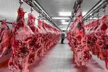 قیمت گوشت قرمز وارداتی اعلام شد