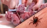 با شروع گرما مراقب این بیماری خطرناک باشید