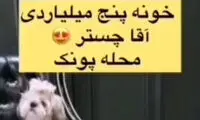 خرید خانه ۵ میلیاردی برای سگی به اسم چستر در تهران!
