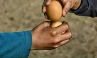 مرغانه جنگ ؛ بازی جذاب نوروزی کودکان گیلانی