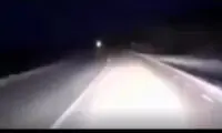 ببینید: لحظه تصادف دلخراش یک خودرو با گاو