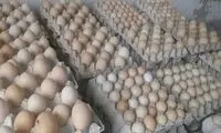 دلیل کمبود ‌تخم مرغ و روغن در برخی فروشگاه‌ها